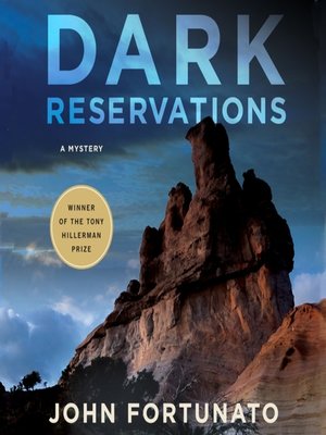 cover image of Dark Reservations